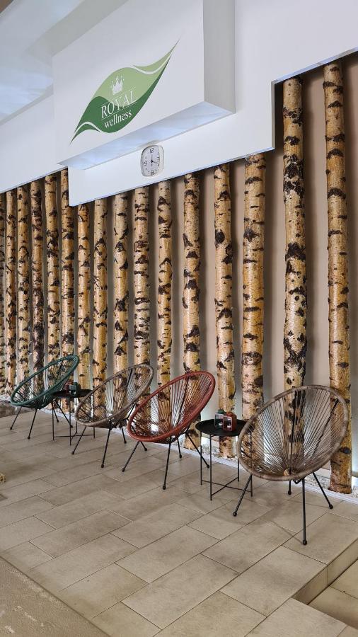 Hotel Royal Spa Banja Koviljača Exteriör bild