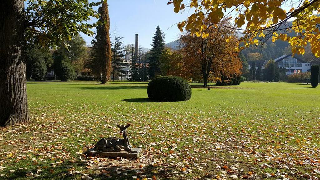 Hotel Royal Spa Banja Koviljača Exteriör bild