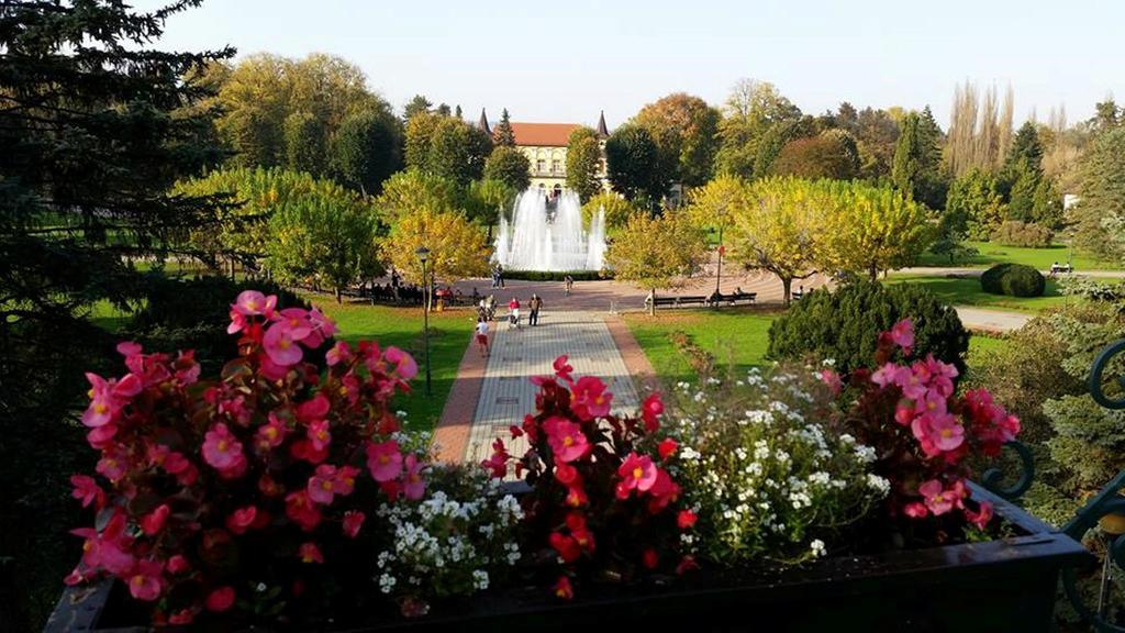 Hotel Royal Spa Banja Koviljača Exteriör bild