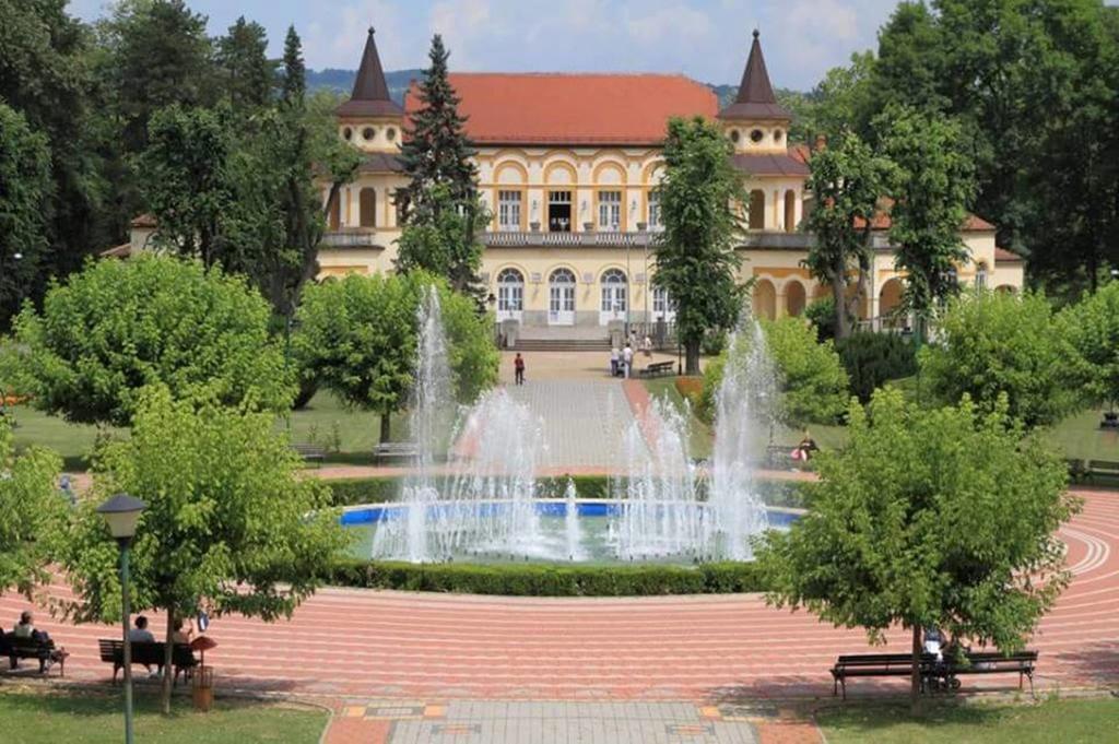 Hotel Royal Spa Banja Koviljača Exteriör bild